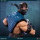 Mortal Kombat X Statue 1/4 Sub-Zero 54 cm